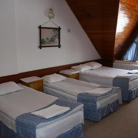 Hotel Derbent *