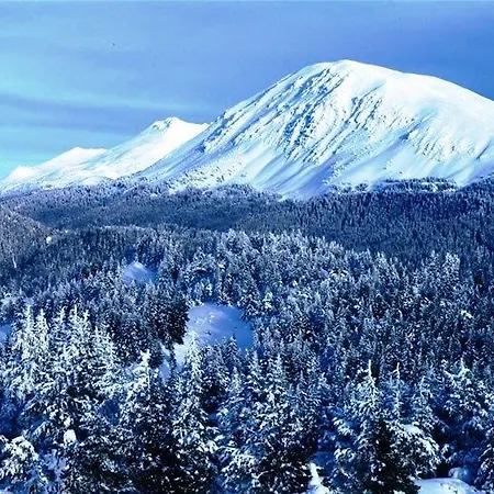 Hotell Derbent Ilgaz